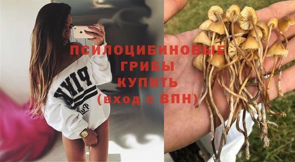 шишки Вязьма