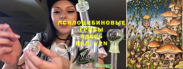 шишки Вязьма