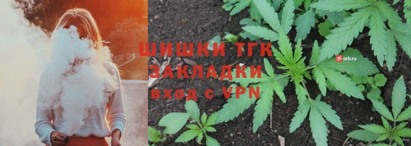шишки Вязьма