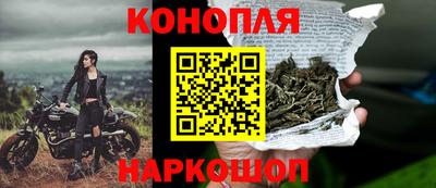 гашик Канаш