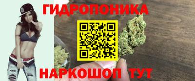 амф Камышлов