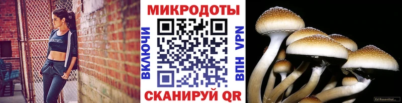 Псилоцибиновые грибы прущие грибы  OMG онион  Муром 
