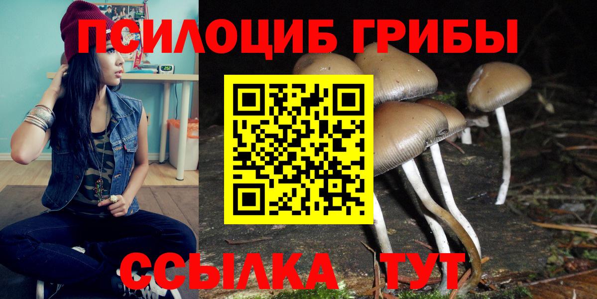 Псилоцибиновые грибы Magic Shrooms  Вход с VPN  Муром 