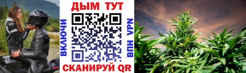 купить наркотики цена  Муром  МАРИХУАНА White Widow 